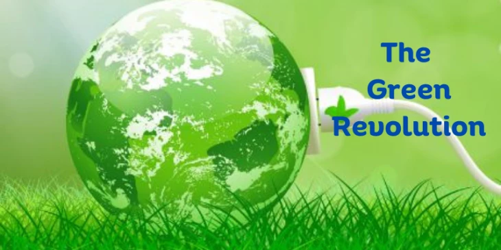 Renewable Energy Careers in India's Green Revolution